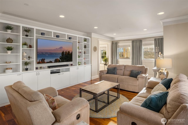 living room featuring recessed lighting and dark wood-type flooring