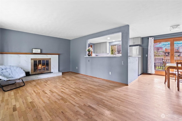 living room featuring light hardwood / wood-style floors, a fireplace, and a healthy amount of sunlight