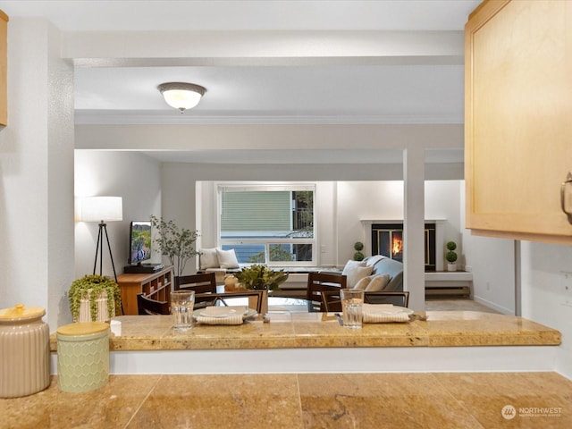 living room featuring ornamental molding