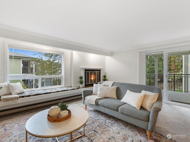 living room featuring ornamental molding