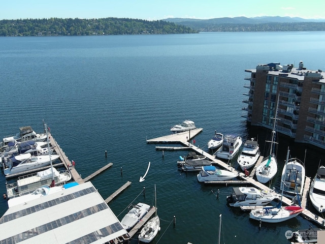 exterior space featuring a mountain view