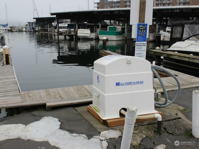 dock area with a water view