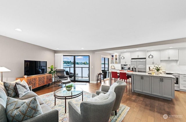 living room featuring light hardwood / wood-style floors