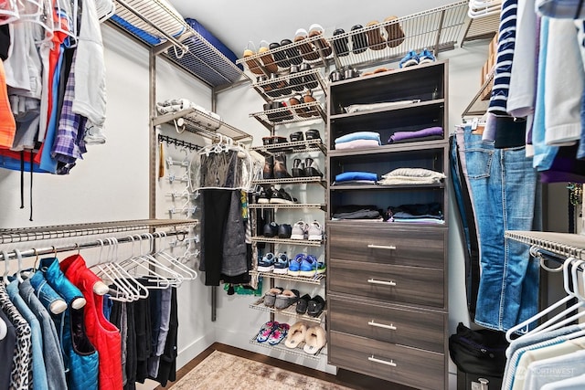 spacious closet with hardwood / wood-style floors