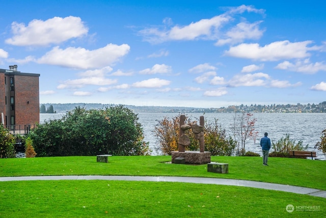 view of community featuring a lawn and a water view