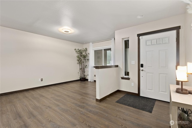 foyer entrance with dark hardwood / wood-style floors