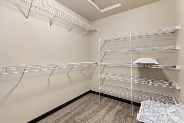 spacious closet with carpet flooring