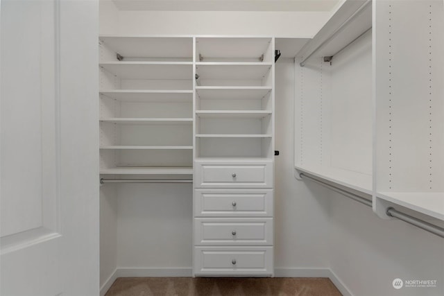 walk in closet featuring carpet flooring