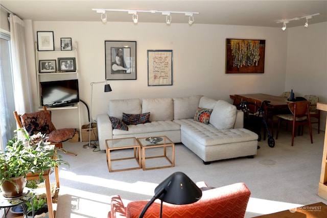 carpeted living room with track lighting