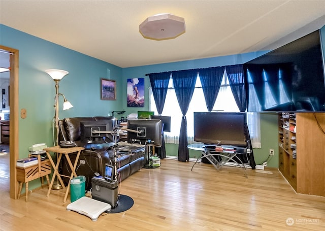 living room with wood-type flooring