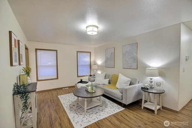 living room featuring hardwood / wood-style floors