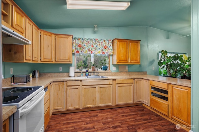 kitchen with electric stove, dark hardwood / wood-style floors, and sink