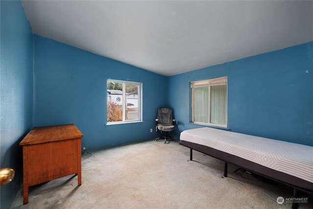 bedroom with vaulted ceiling and light colored carpet