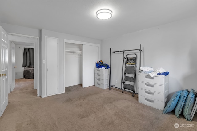 carpeted bedroom featuring a closet