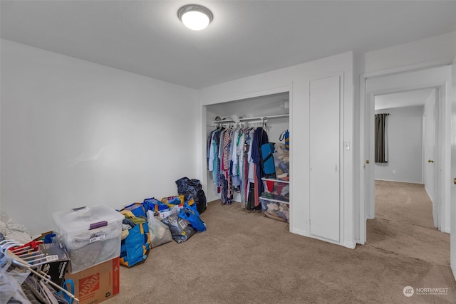 bedroom with a closet and light colored carpet