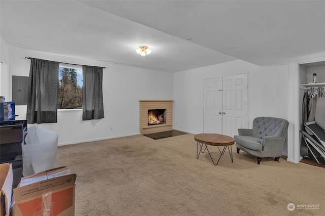 living area featuring carpet floors and a fireplace