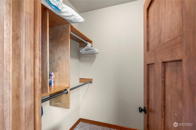 spacious closet featuring carpet