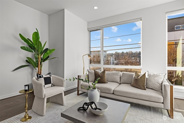 living room with hardwood / wood-style flooring