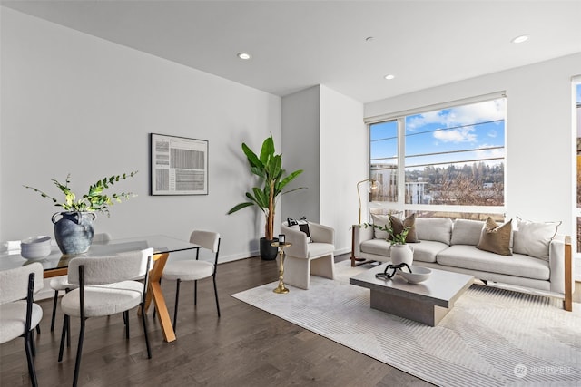 living room with dark hardwood / wood-style floors