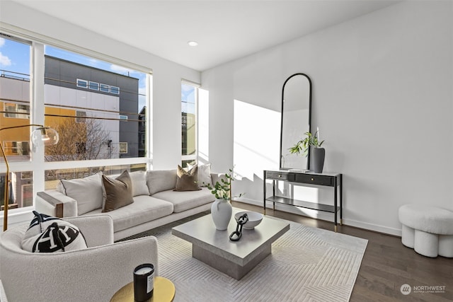 living room with dark wood-type flooring