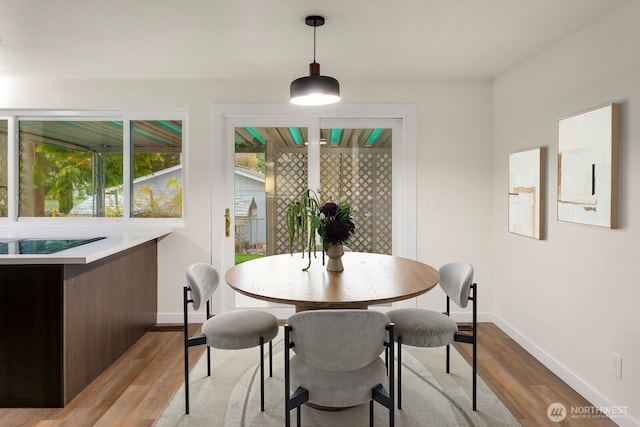 dining room with light hardwood / wood-style flooring