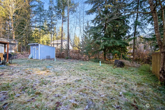 view of yard with a storage unit