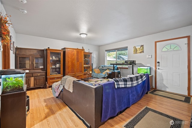 living room featuring light hardwood / wood-style floors