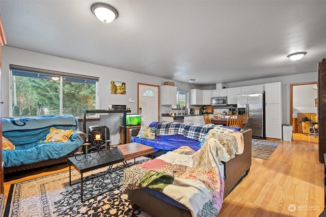 living room featuring plenty of natural light, a textured ceiling, light hardwood / wood-style flooring, and sink