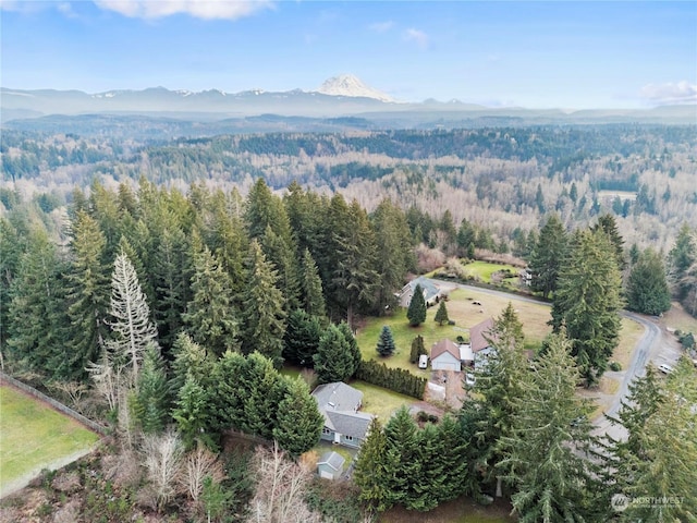 aerial view with a mountain view