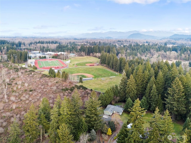 drone / aerial view with a mountain view