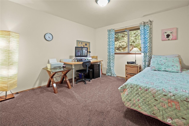 bedroom with carpet floors