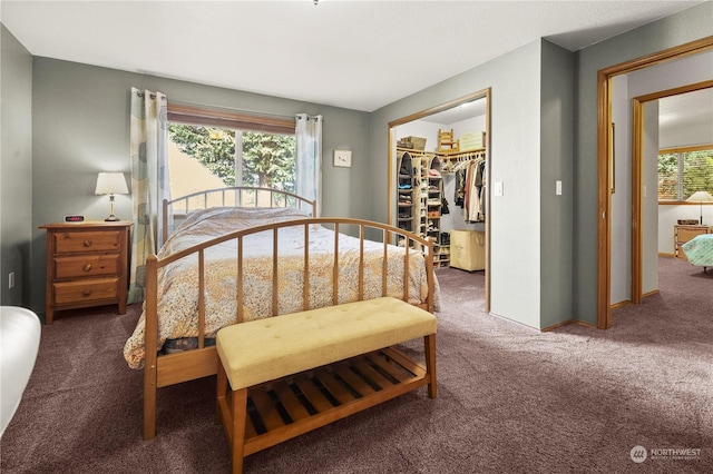 carpeted bedroom featuring a walk in closet and a closet