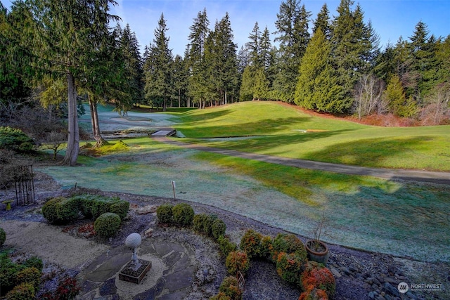 view of property's community featuring a yard