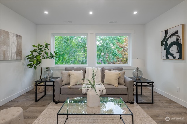 living room with a wealth of natural light and light hardwood / wood-style flooring