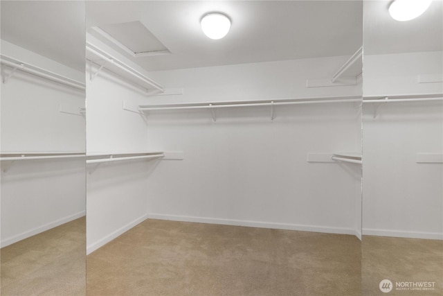 walk in closet with light carpet