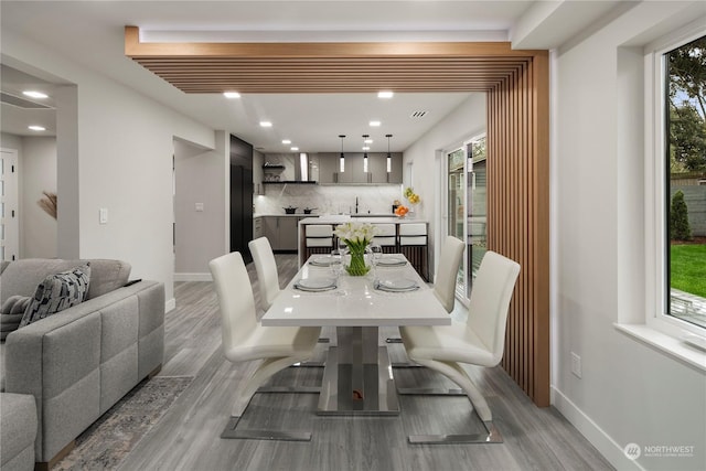 dining room with wood-type flooring and sink