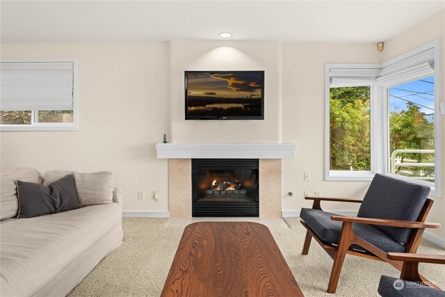 living room featuring carpet floors