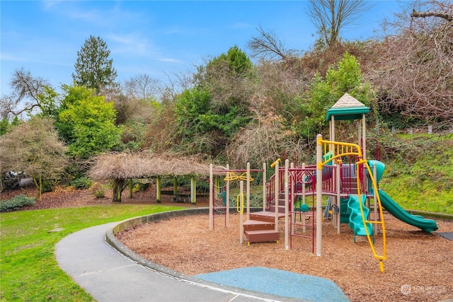 view of jungle gym