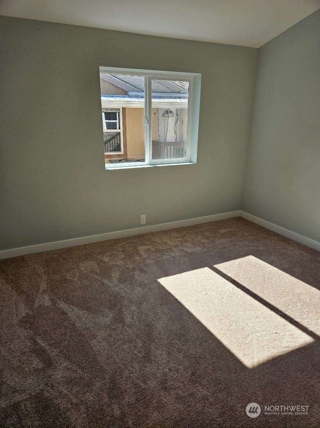 spare room featuring carpet floors