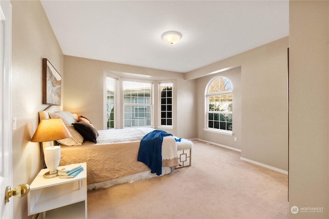 bedroom with carpet flooring