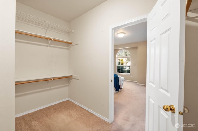 walk in closet with light colored carpet