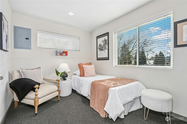 bedroom with dark carpet and electric panel