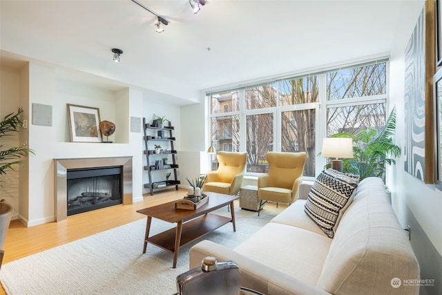 living room with light hardwood / wood-style flooring and a healthy amount of sunlight