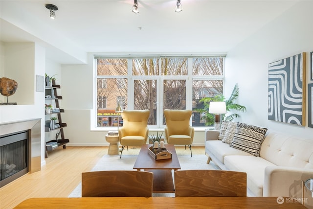 living room featuring light hardwood / wood-style floors