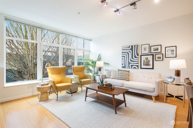 living room with light wood-type flooring, plenty of natural light, and rail lighting