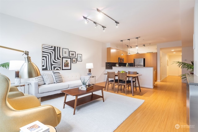 living room featuring light wood-type flooring and rail lighting