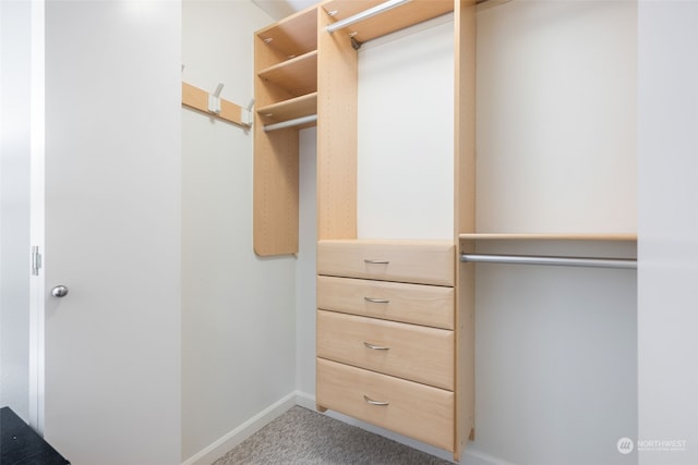 spacious closet with carpet floors