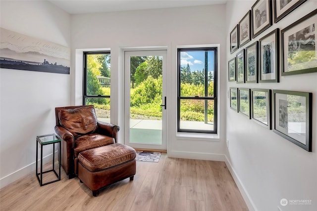 sitting room with light hardwood / wood-style floors