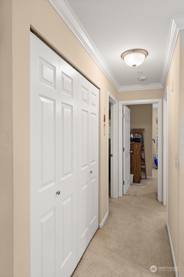 hall featuring light colored carpet and ornamental molding