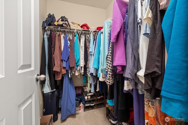 spacious closet with carpet floors